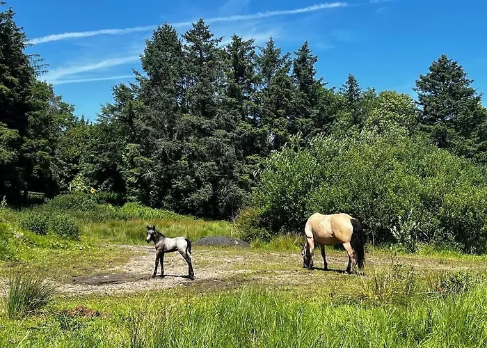 Hébergement de vacances Drumbar Donegal Town